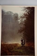 Vintage Analog Photo France Hunting Foxhunting Horse 24X30Cm 1970
