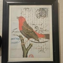 Set of 2 Framed Bird Pictures Prints 13″ X 15″