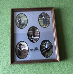 Betty France – Photography of Amish Children, 5 up in collage frame