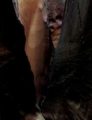 1962 Eliot Porter Glen Canyon Carved Walls of Dungeon Canyon Art Photo Gravure