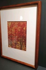«Indian Red Lake» Signed Photography 15.5 X 19.5″ Framed & Matted 8 x 10