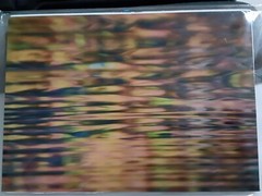 Joe Cruz Photography Florida Wekiva River Sunset Art New Landscape Nature