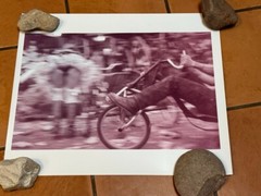 Janine Gordon Photograph 60″x24″ C-print Edition Grid Bike Kill Signed Fine Art