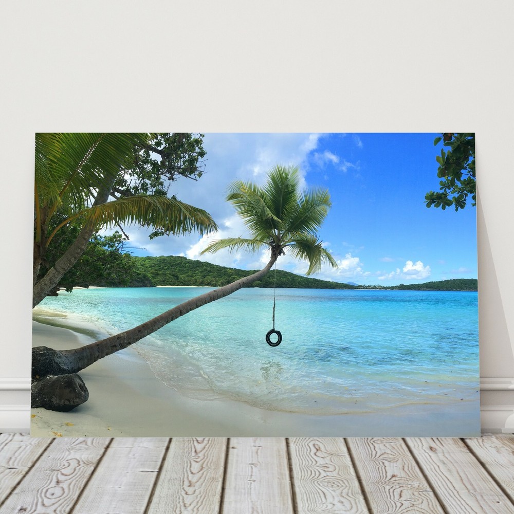 Oppenheimer Beach Tire Swing Photo, St John USVI, Beach Photography Art Print