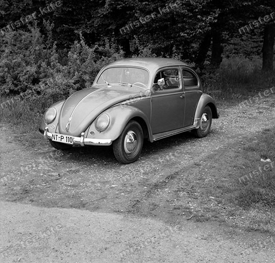 Negative-Volkswagen-Beetle-VW-Betle-Automotive-Automotive-7