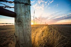 Fence Post Photography Print: Oklahoma Country Sunset Farm Western Sky Photo