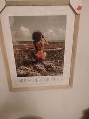 Photo Art 16” X 22” Framed