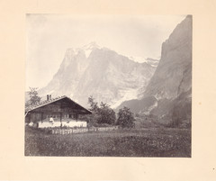 Antique Adolphe Braun 1812–1877 French Photographer Albumen Photograph Dornach