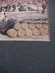 New Orleans Tinted Colored Photographs 1900s – Marx Art Store Detroit Photo Deco