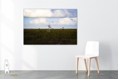 Cypress Prairie – Minimal Landscape Photography Fine Art Prints – Everglades, FL