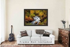 Spearfish Canyon South Dakota Creek Black Hills Landscape Photography Print
