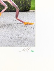 Steven Daniel Adventures Of A Tree Frog Photography Out For A Stroll Nursery Art