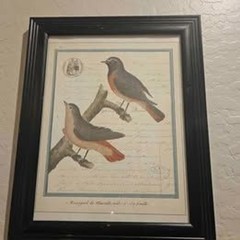 Set of 2 Framed Bird Pictures Prints 13″ X 15″