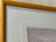 Thomas D. Mangelsen Polar Bear Limited Edition, 445/950, Signed & Framed