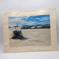White Sands National Monument Photograph New Mexico