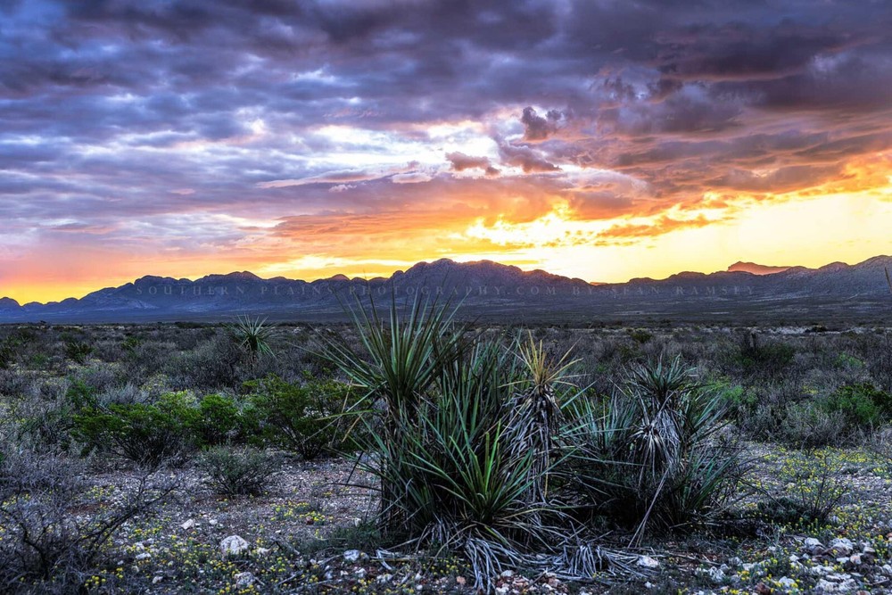 Big Bend Photography Print: West Texas Sunrise Mountain Landscape Sky Photo