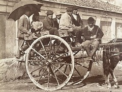 2 Album Photo by Giacomo Brogi circa 1870 Naples Napoli Italy 25x19cm (13+14)