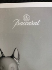 Rare Official Vintage Baccarat – France Fine art B&W Photo (Rigot Cats)
