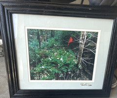 Robert R. Copple «Illusionary Images» Birds Photo Framed Matted Signed