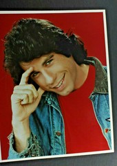 Young John Travolta Head Shot – 8×10″ Photo Print – Vintage L1244D