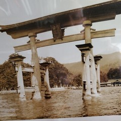 Wakaji Matsumoto Antique Hiroshima,Photo Inland Sea Japan, Cunard Ship Franconia