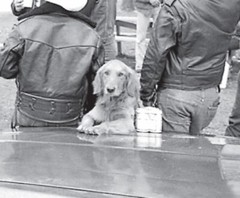 Whiskey Flat Days, Dog, Beer, Bikers, Harley, 1978. Photograph. Quality Print