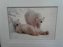 Thomas Mangelsen Polar Bear Limited Edition Photo Print 223/3500 1992