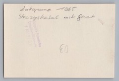 Zakopane Polen 1965 – Strazyskatal mit Giewont – Altes Foto 1960er