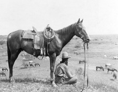The horse wrangler Photograph Print 11″x14″