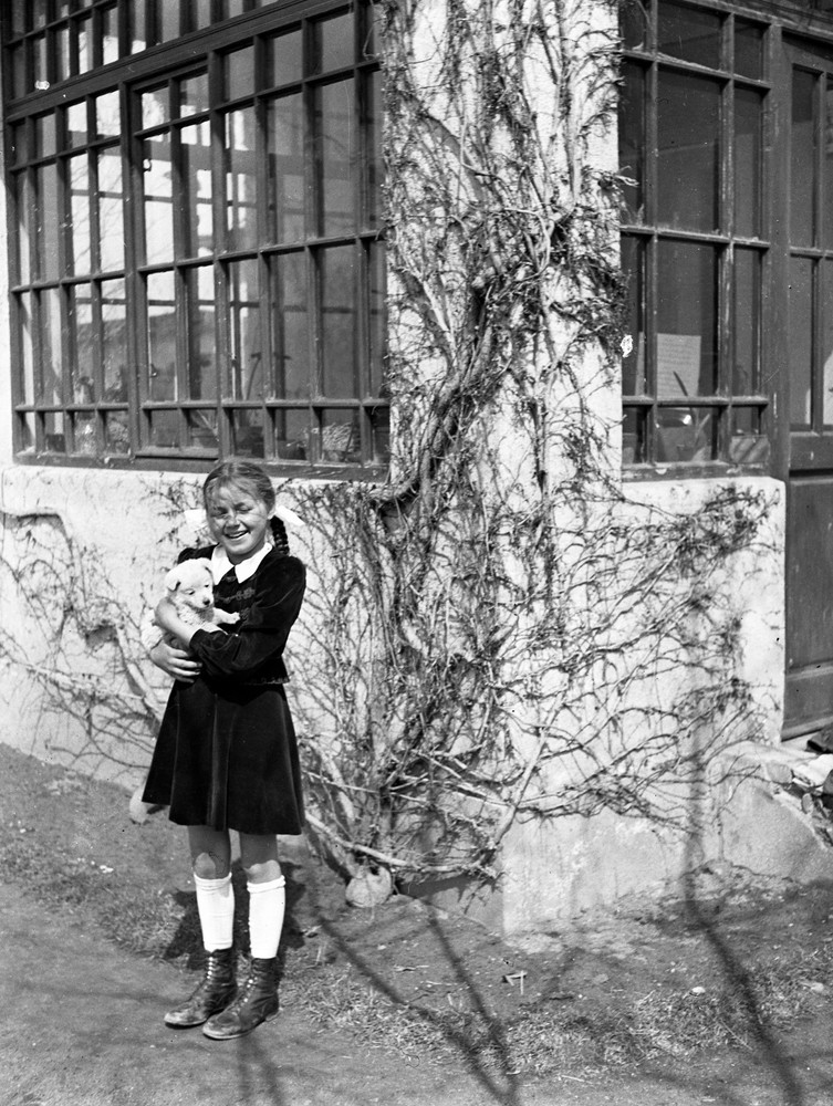 LOT 2x PHOTO NEGATIVE, sweet girl w sweet dog, sheeps, animals, funny, unusual,