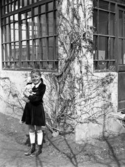 LOT 2x PHOTO NEGATIVE, sweet girl w sweet dog, sheeps, animals, funny, unusual,
