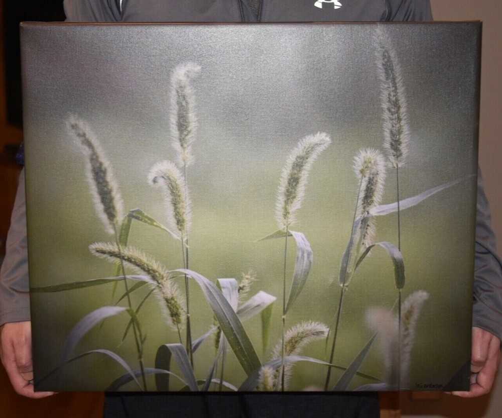 Photograph on canvas wrap – Tall Grass – 20 X 24 – fresh greenery, ready to hang
