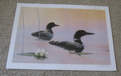 4 Wildlife Lithograph Prints in Collecter folder, LEO STANS, including «MISTY»