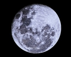 Moon Decor, 8×10 inch Print, 99 Percent Full Moon (Waning Gibbous Phase) M5707