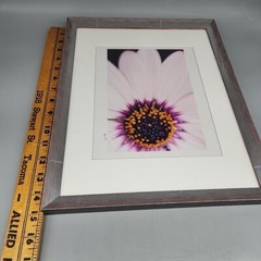 Professionally Frame Flower Photograph Signed Pink Silver 12×17″