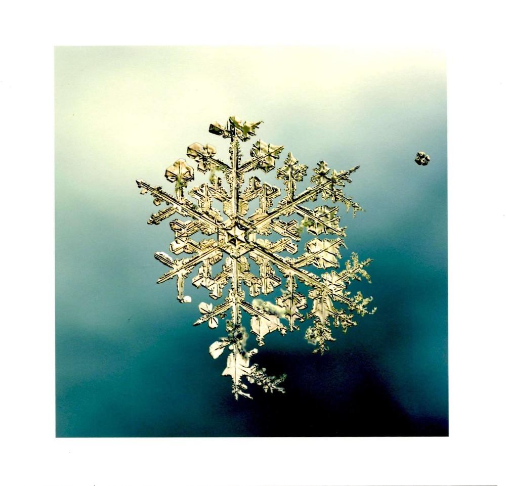 Doug Starn / SNOWFLAKE PRINT SIGNED ALLEVERYTHINGTHATISYOU SNO7_057 8 x 8 1st ed