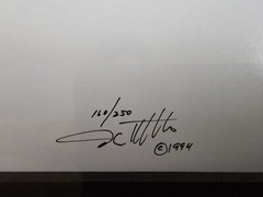 Signed David Whitten Limited Edition 35mm Photograph Print 17.5×14.75 Framed Art