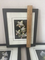 Floral Art Prints 35mm Photographs Framed Art Signed Randall Shedd Set Of 3