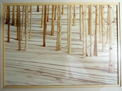 Signed Photograph- Forest Scene- Birch Trees In Snow by William Plante FREE SHIP
