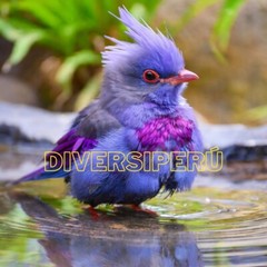 Digital Image Picture Photo Wallpaper Background Desktop Art And Phone Desktop