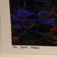 ART Original PHOTO Photograph Mt St Helens Washington Signed By Artist 17 x 11