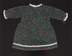 Karen Savage Photogram of Dress Vintage Photograph Fine Art Original Color Green