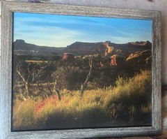 Photograph Of Desert In The Springtime Framed 15 1/2 X 12 1/2