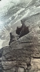 FRANCIS JAMES MORTIMER??? Rough Sea Seascape WAVES Photographs (3) READ!