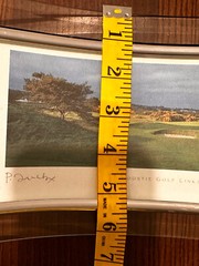 Carnoustie Hole 13 Par 3 Photographed And Signed By Pat Drickey 4”x10” Framed