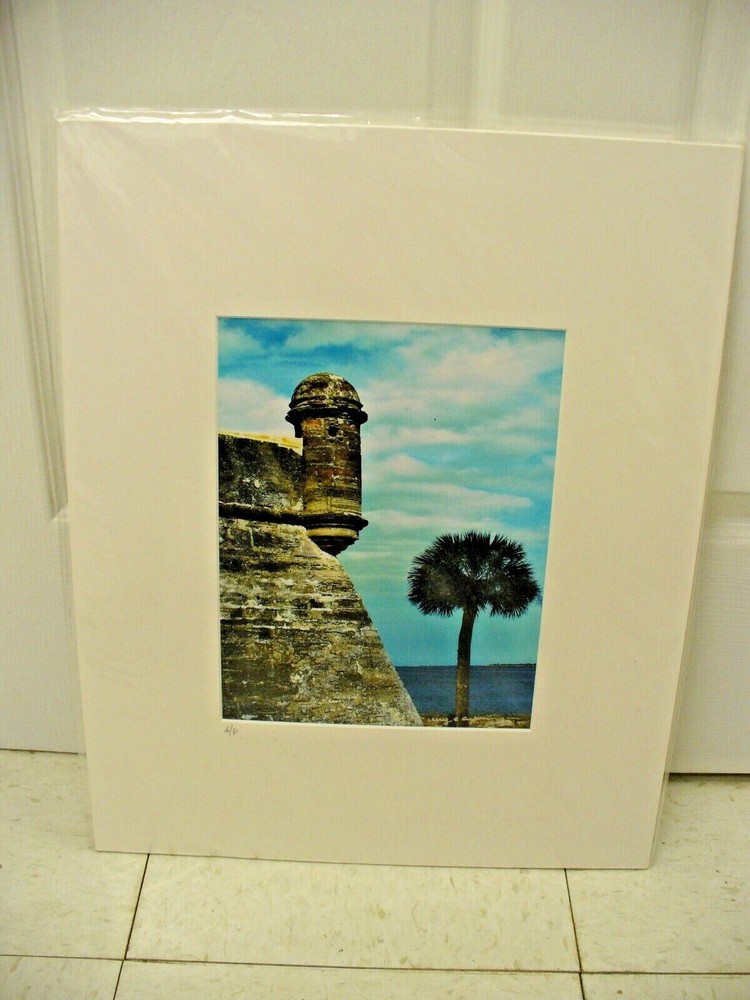 MATTED PHOTOGRAPHY Fort on Water with Tree By Larry Santucci 2009 Acid Free