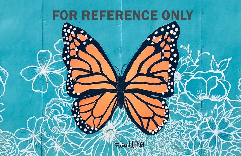 Painted Butterfly Mural Art Print 11×17 (3 of 5)
