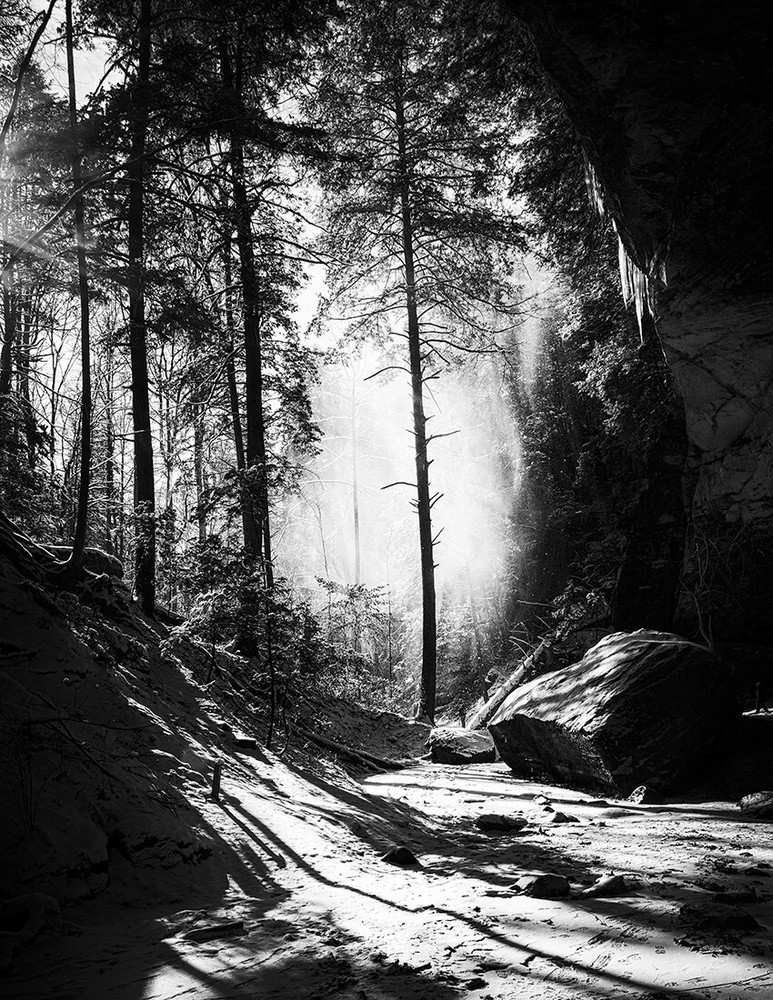 LANDSCAPES 8.5×11 or 13X19 BORDERLESS GLOSSY PRINT (FREE SHIPPING)