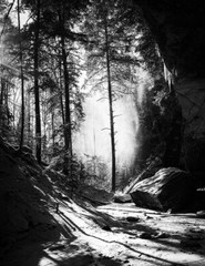 LANDSCAPES 8.5×11 or 13X19 BORDERLESS GLOSSY PRINT (FREE SHIPPING)