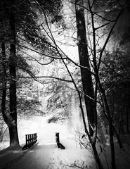 LANDSCAPE 8.5×11 or 13X19 B&W BORDERLESS GLOSSY PRINT (FREE SHIPPING)